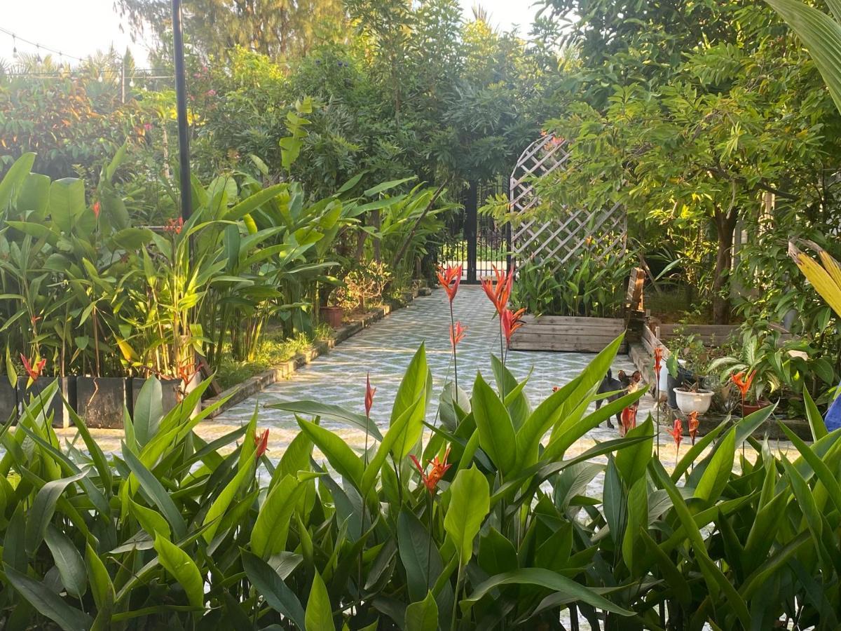 Laoxao Homestay Hoi An Exterior foto